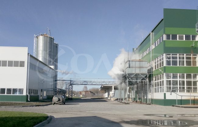 The latest buckwheat processing plant from OLIS LLC
