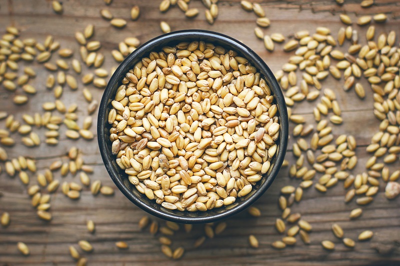 Как в лабораториях определяют качество пшеницы?