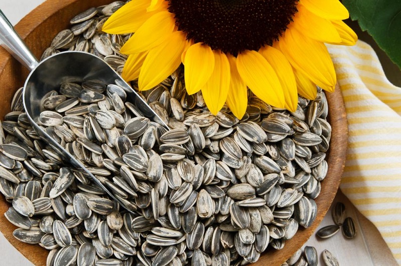 Features of sunflower cleaning