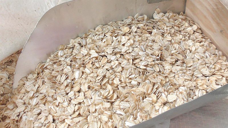 OLIS launches new oat processing plant in Dnipro region